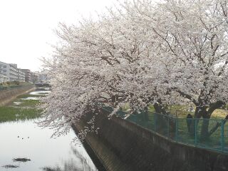 2012�N������~��������