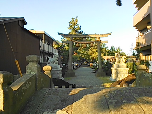 �ߗ䔪���_�ЎQ��