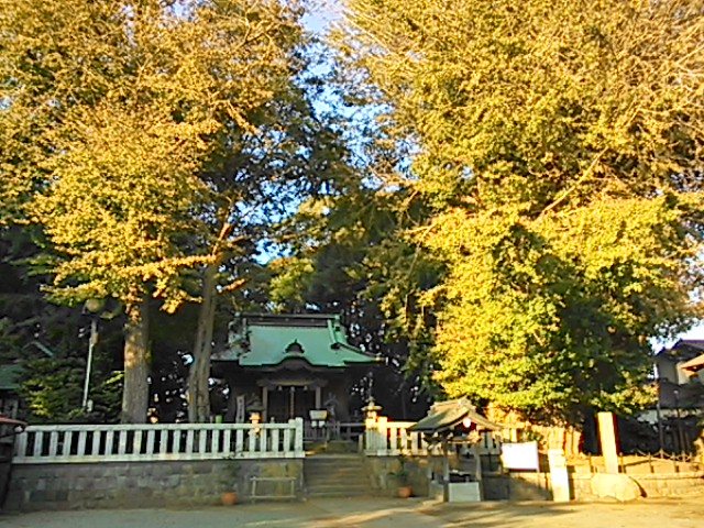 �ߗ䔪���_��