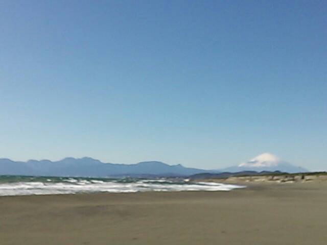 �T�U���r�[�`�ƕx�m