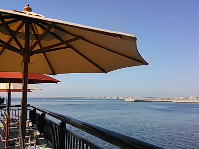 �J�t�F���獔���C��