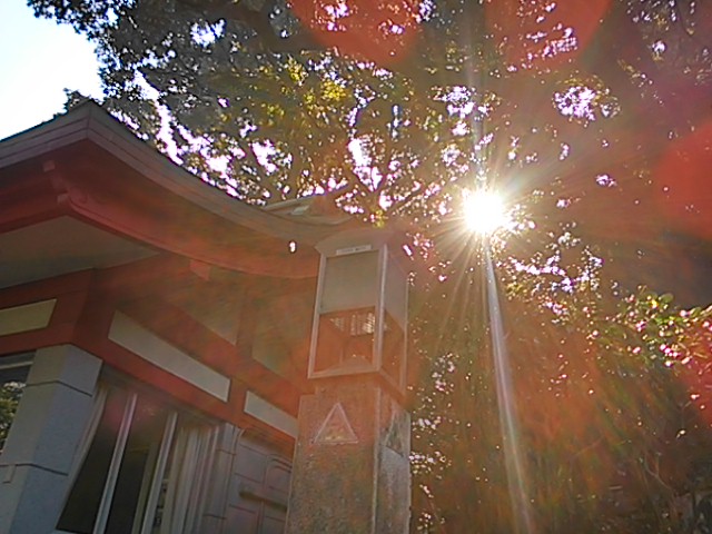 �]�̓��_��