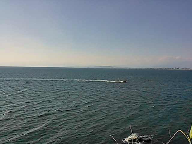 �]�̓����犝�������