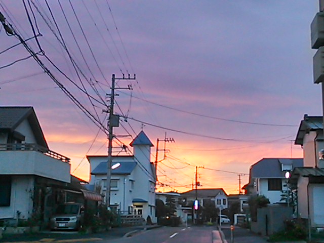 2013�H�A���É@�O�̗[��