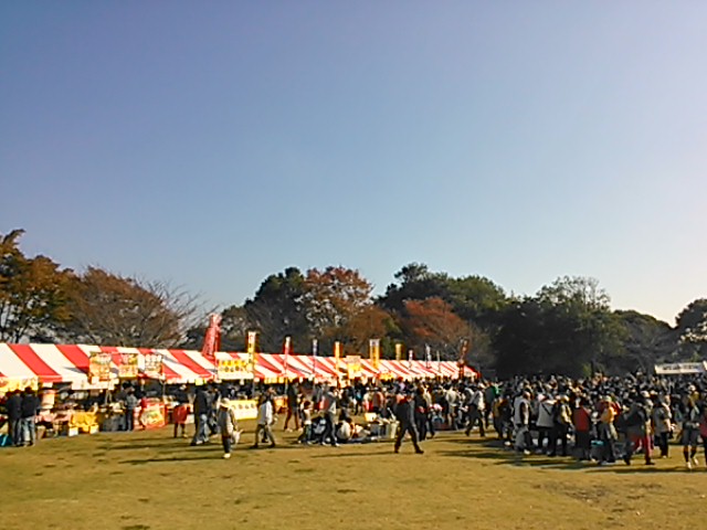 ���C���{�[�Ղ藢�R����2013