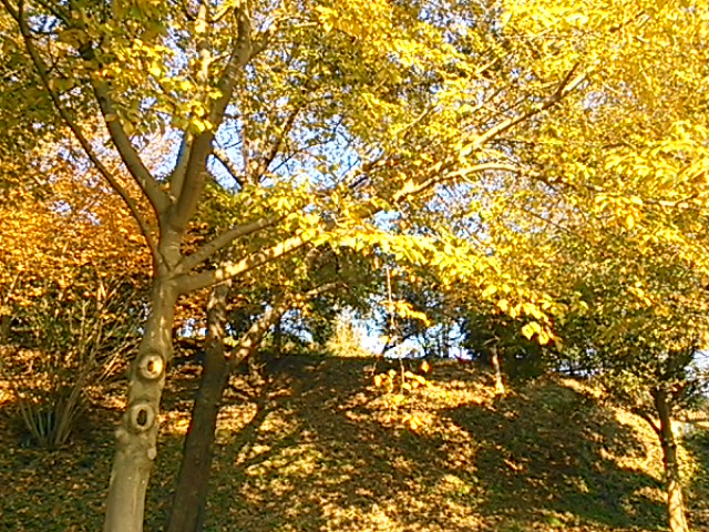 2013�H�A���R����